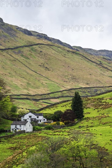 Farms in Lake District National Park, Cumbria, England, United Kingdom