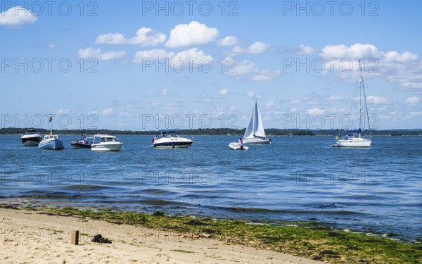 Boats over Brownsea Island, Poole, Dorset, England, United Kingdom