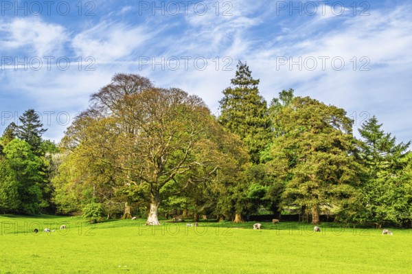 Farms in Lake District National Park, Cumbria, England, United Kingdom
