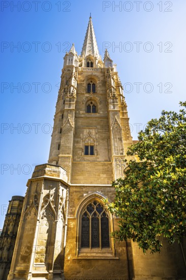 Cathedrale Sainte-Marie in Bayonne, Basque Country, Southwest France