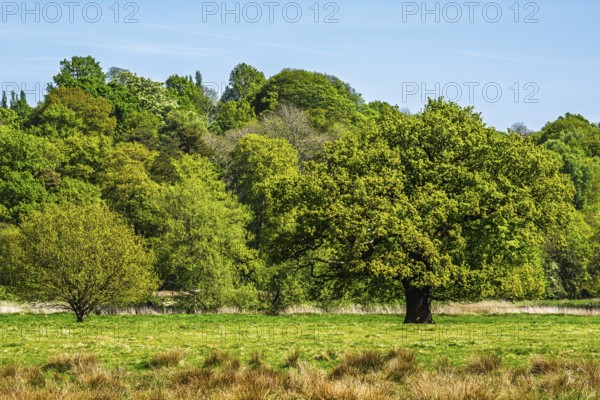 Shugborough Estate, National Trust House and garden, Great Haywood, Staffordshire, England, United Kingdom