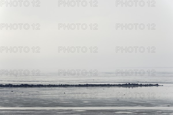 North Sea coast, cloudy winter day, Wadden Sea at low tide, stone groyne as coastal protection, North Sea, Norddeich, Lower Saxony, Germany
