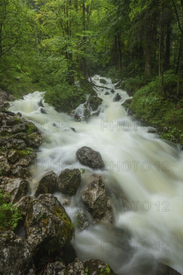 Roaring Weißbach after summer rain near Inzell
