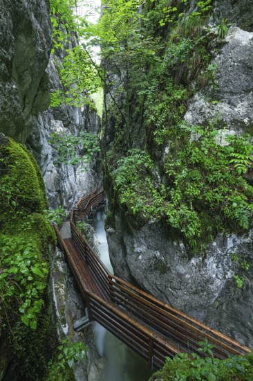 Natural beauty of the Alps, the Innersbachklamm gorge near Unken in Austria