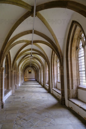 Cloister, Steinfeld Monastery, Kall, North Eifel, Eifel, North Rhine-Westphalia, Germany