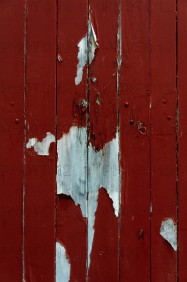 A weathered red wooden surface shows signs of peeling paint, exposing layers of blue and natural wood underneath. The textures create an interesting visual effect