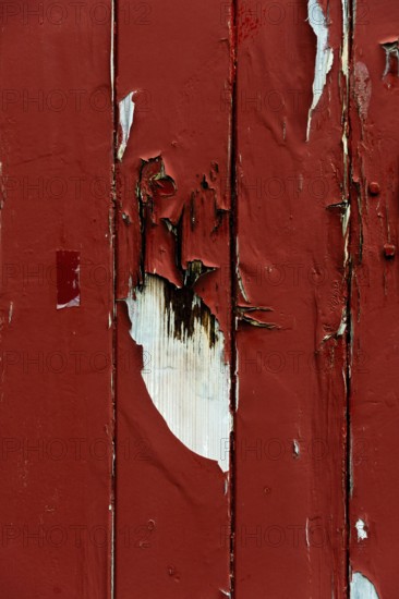 A close-up view captures the peeling red paint on a wooden surface, showcasing intriguing textures and patterns formed over time. The wear reflects exposure to the elements