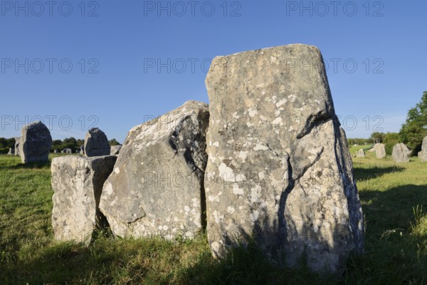 Megalithe, Alignements du Menec, Carnac, Department of Morbihan, Brittany, France