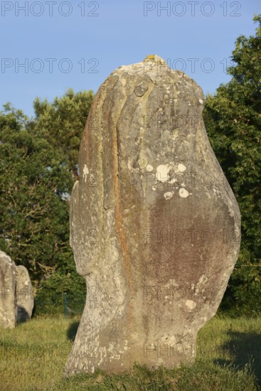 Megalithe, Alignements du Menec, Carnac, Department of Morbihan, Brittany, France