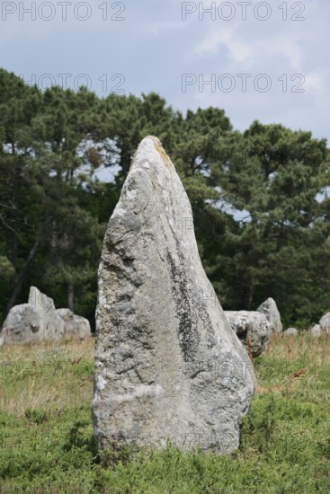 Megalithe, Alignements de Kermario, Carnac, Department of Morbihan, Brittany, France