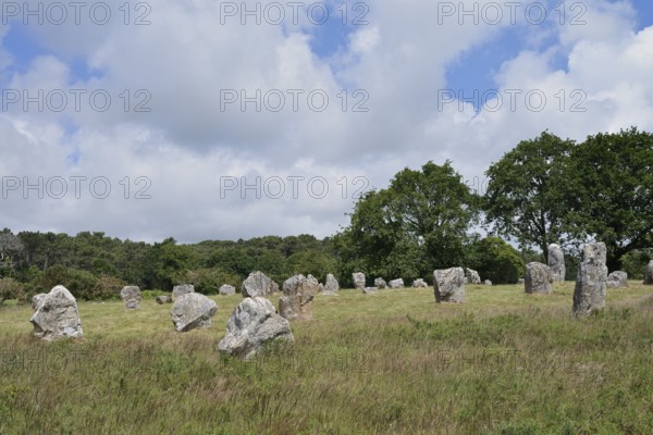 Megalithe, Alignements de Kermario, Carnac, Department of Morbihan, Brittany, France