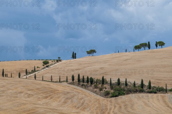 Tuscan landscape, Tuscany, Italy