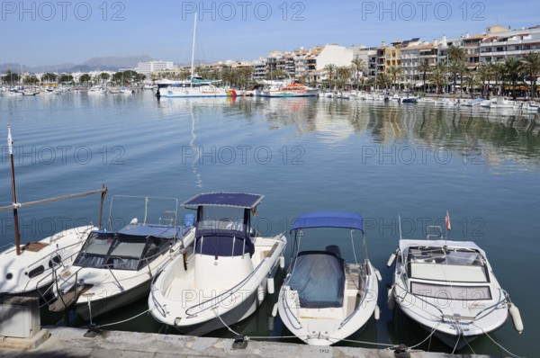 Boats in the harbour, Port d'Alcudia, Majorca, Balearic Islands, Spain