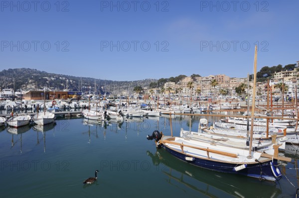 Boats in the harbour, Port De Soller, Majorca, Balearic Islands, Spain