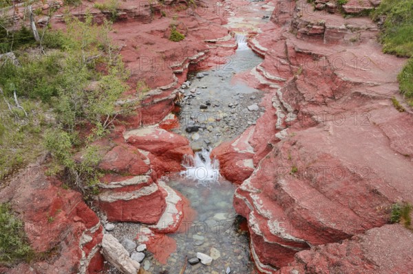 Stream in Red Rock Canyon, Waterton Lakes National Park, Alberta, Canada
