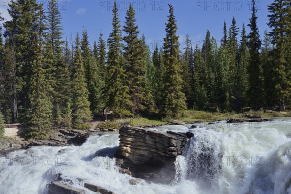 Athabasca Falls waterfall, Athabasca River, Icefields Parkway, Jasper National Park, Alberta, Canada
