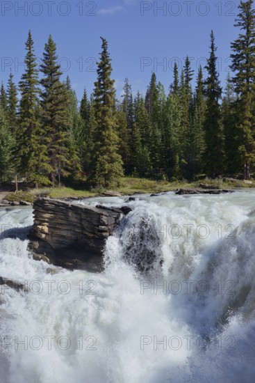 Athabasca Falls waterfall, Athabasca River, Icefields Parkway, Jasper National Park, Alberta, Canada