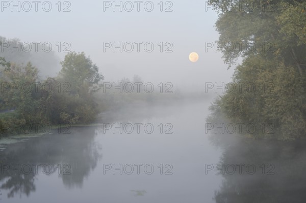 The river Lippe with full moon and morning fog, North Rhine-Westphalia, Germany
