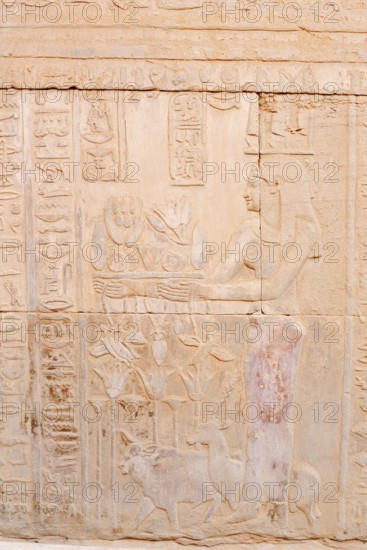 Relief on the double temple of Kom Ombo, Kom Ombo, Egypt