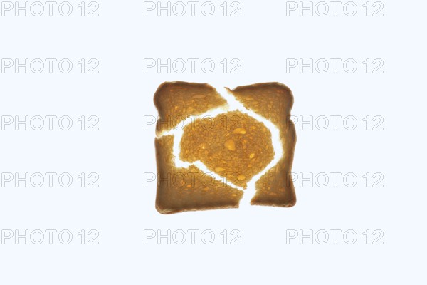 Rusk on a white background