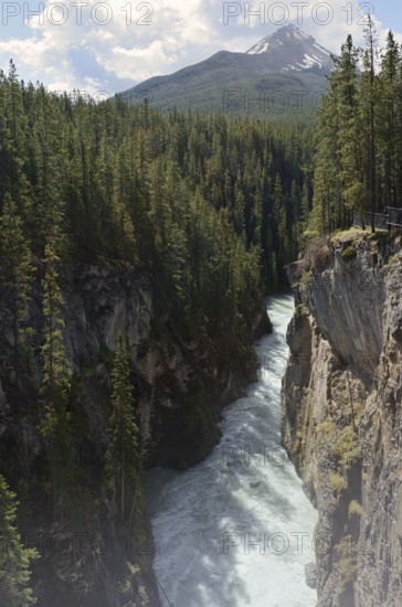 Sunwapta Falls waterfall, Sunwapta River, Icefields Parkway, Jasper National Park, Alberta, Canada