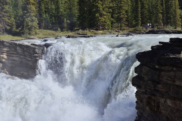 Athabasca Falls waterfall, Athabasca River, Icefields Parkway, Jasper National Park, Alberta, Canada