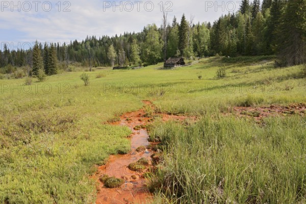 Mineral Springs, Wells Gray Provincial Park, British Columbia, Canada