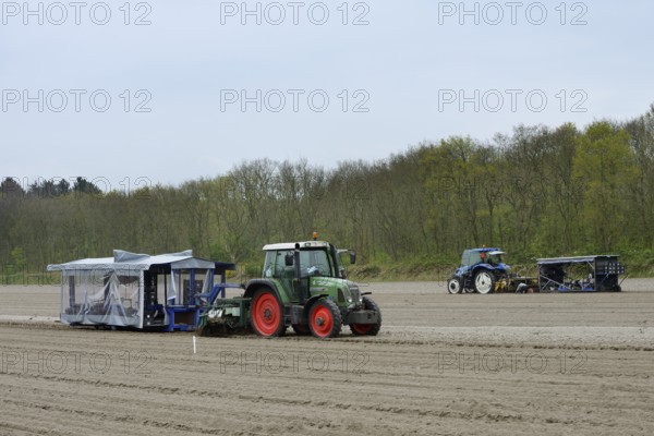 Flower bulbs being planted in a field with a tractor, South Holland, Netherlands
