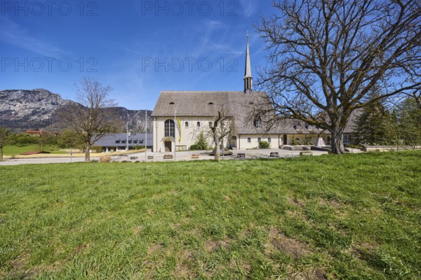 Parish church Bayerisch Gmain, church, mountain landscape, mountains, bare wintry trees, meadow, deep blue sky, cirrostratus clouds, Reichenhaller Straße, Bayerisch Gmain, district Berchtesgadener Land, Bavaria, Germany