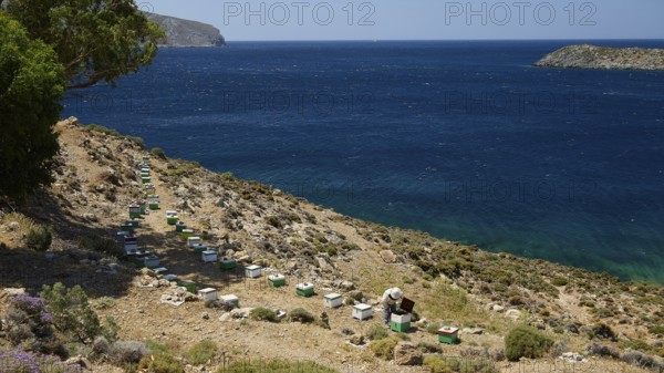 Row of beehives in stony surroundings with a view of the blue sea, chapel, small church, Agia Kavouradena Monastery, Xirokambos, Leros, Dodecanese, Greek Islands, Greece