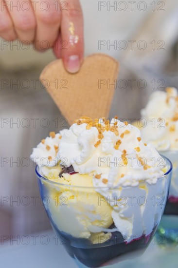 A glass of ice cream with cream and a waffle, decorated with crispy sprinkles, Retro Freizeitpark Poppeltal Riesenrutschbahn, Enzklösterle, Black Forest, Germany