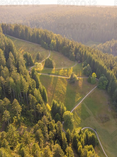 Hilly forest landscape with meadows and bright sunlight on paths, Retro Freizeitpark Poppeltal giant slide, Enzklösterle, Black Forest, Germany