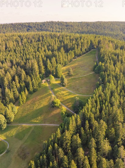 Wooded slopes and winding paths in warm light, surrounded by natural idyll, Retro Freizeitpark Poppeltal Riesenrutschbahn, Enzklösterle, Black Forest, Germany