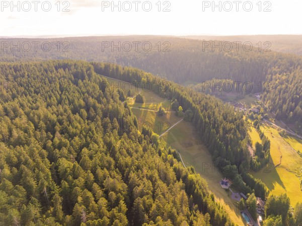 Comprehensive view over wooded hills and valleys in the distance, in warm evening light, Retro Freizeitpark Poppeltal Riesenrutschbahn, Enzklösterle, Black Forest, Germany