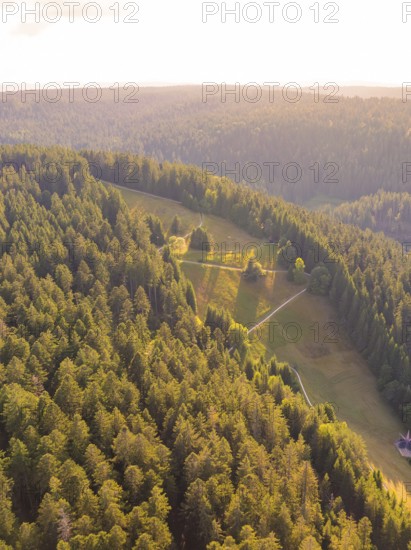 Wide views over forests with clearings and clear paths, peaceful natural surroundings, Retro Freizeitpark Poppeltal Riesenrutschbahn, Enzklösterle, Black Forest, Germany