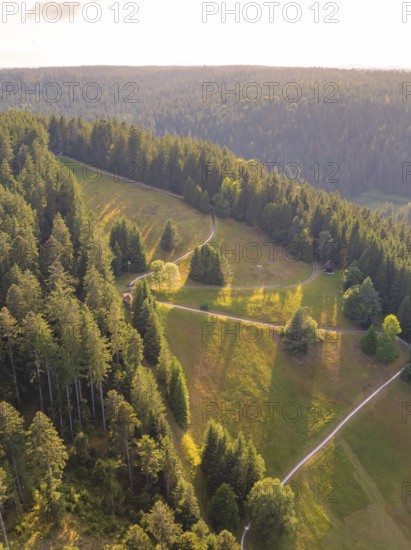 Elevation over forest hills, with clear paths and impressive depth of perspective, Retro Freizeitpark Poppeltal giant slide, Enzklösterle, Black Forest, Germany