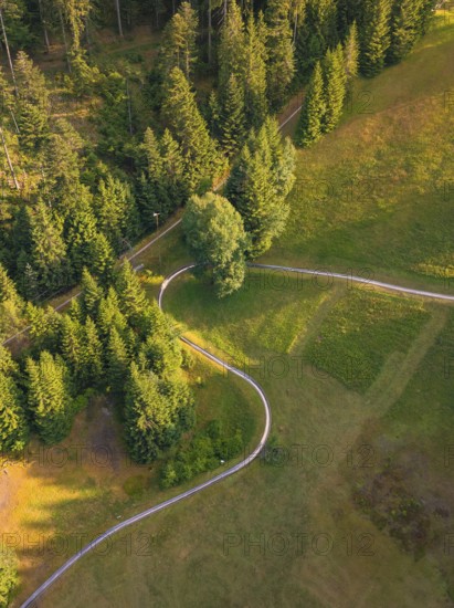 Green forest with clear paths, captured from a bird's eye view in warm light, Retro Freizeitpark Poppeltal Riesenrutschbahn, Enzklösterle, Black Forest, Germany