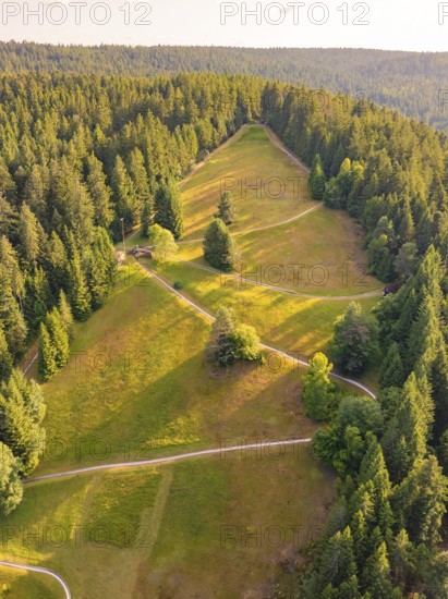 Forest landscape with meadows and winding paths in the sunlight, Retro Freizeitpark Poppeltal giant slide, Enzklösterle, Black Forest, Germany