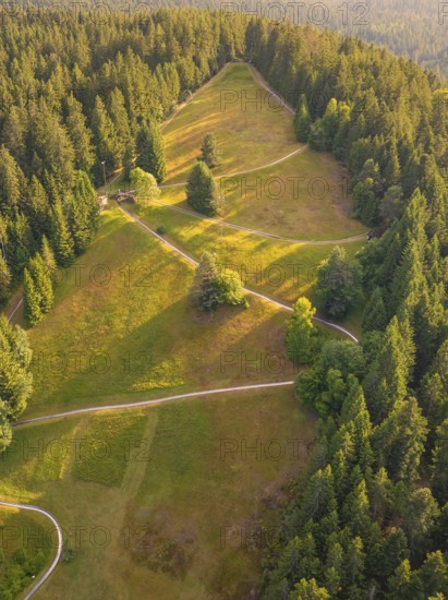 Aerial view of a green forest area with various paths and clear wild surroundings, Retro Freizeitpark Poppeltal Riesenrutschbahn, Enzklösterle, Black Forest, Germany