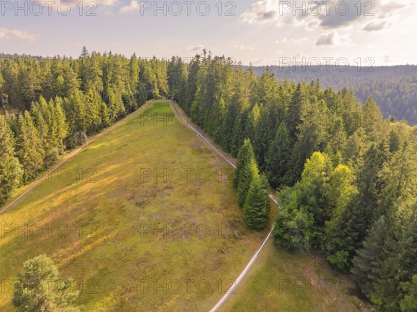 Landscape with green slope, surrounded by dense trees, above a clear sky, Retro Freizeitpark Poppeltal Riesenrutschbahn, Enzklösterle, Black Forest, Germany