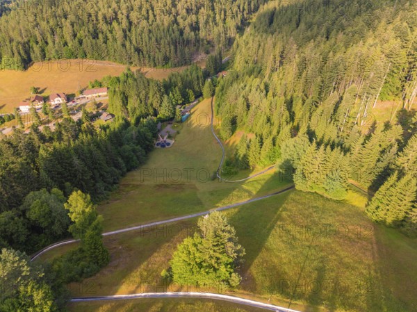 A green forest stretches across a hilly landscape, taken from a bird's eye view, Retro Freizeitpark Poppeltal Riesenrutschbahn, Enzklösterle, Black Forest, Germany