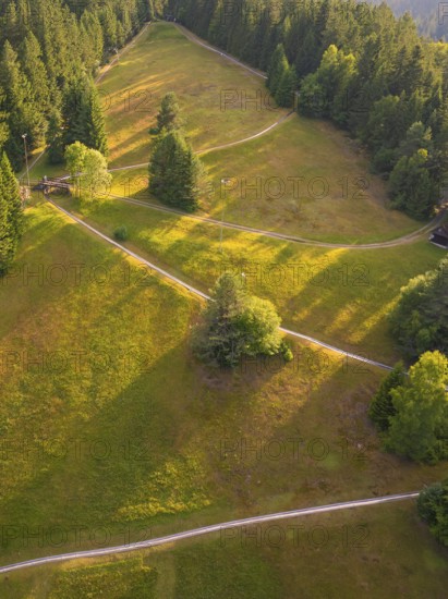 Aerial view of a sunlit forest slope with winding paths, Retro Freizeitpark Poppeltal Riesenrutschbahn, Enzklösterle, Black Forest, Germany