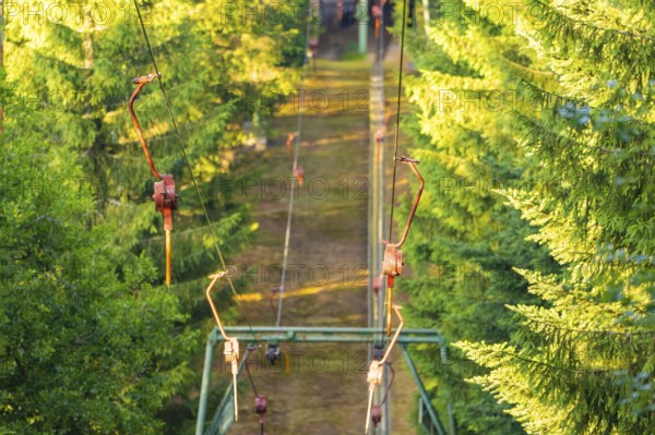 A zip wire leading through a dense forest, accompanied by summer sunlight and green trees, Retro Freizeitpark Poppeltal Riesenrutschbahn, Enzklösterle, Black Forest, Germany