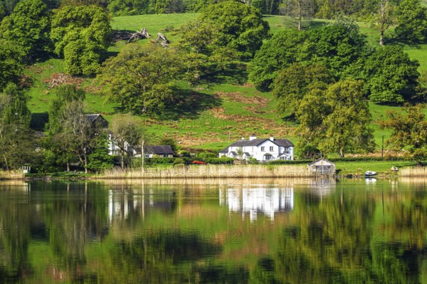 Farms over Esthwaite Water, Lake District National Park, Cumbria, England, United Kingdom