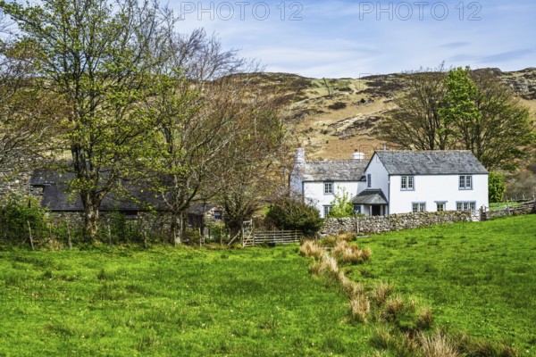 Farms, Ullswater Lake, Lake District National Park, Cumbria, England, United Kingdom