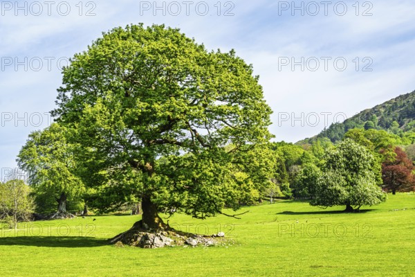 Fell Foot Park, Windermere Lake, Lake District, Cumbria, England, United Kingdom
