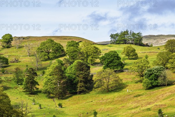 Farms in Lake District National Park, Cumbria, England, United Kingdom