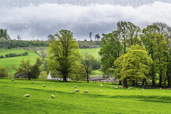 Farms, Pooley Bridge, Ullswater Lake, Lake District National Park, Cumbria, England, United Kingdom