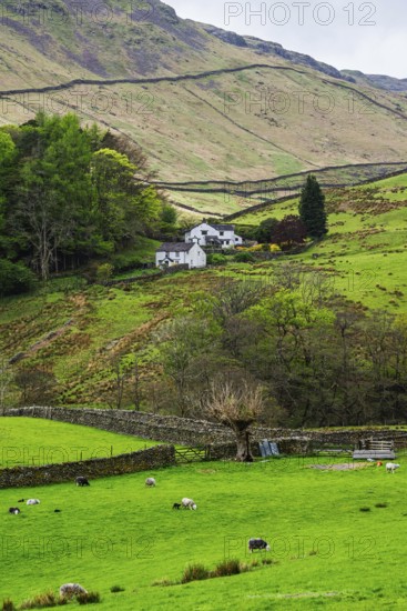 Farms in Lake District National Park, Cumbria, England, United Kingdom