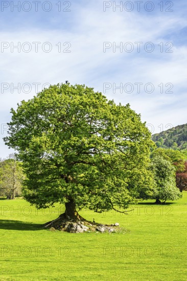 Fell Foot Park, Windermere Lake, Lake District, Cumbria, England, United Kingdom